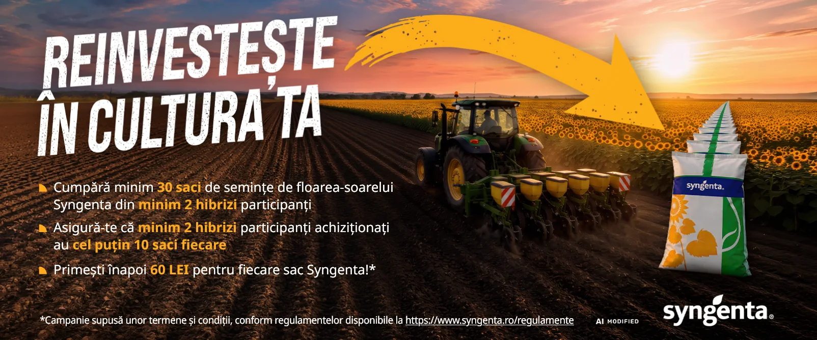 Semințe floarea soarelui
